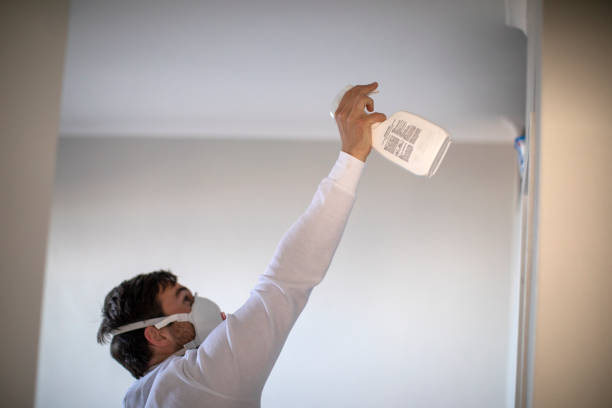 Mold Removal Process in St Francis, WI