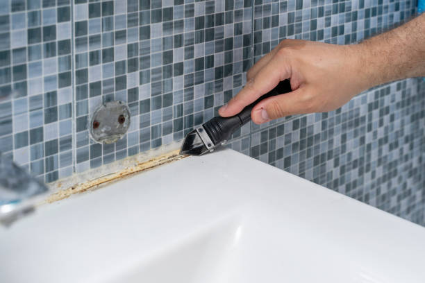 Best Mold Removal Process  in St Francis, WI